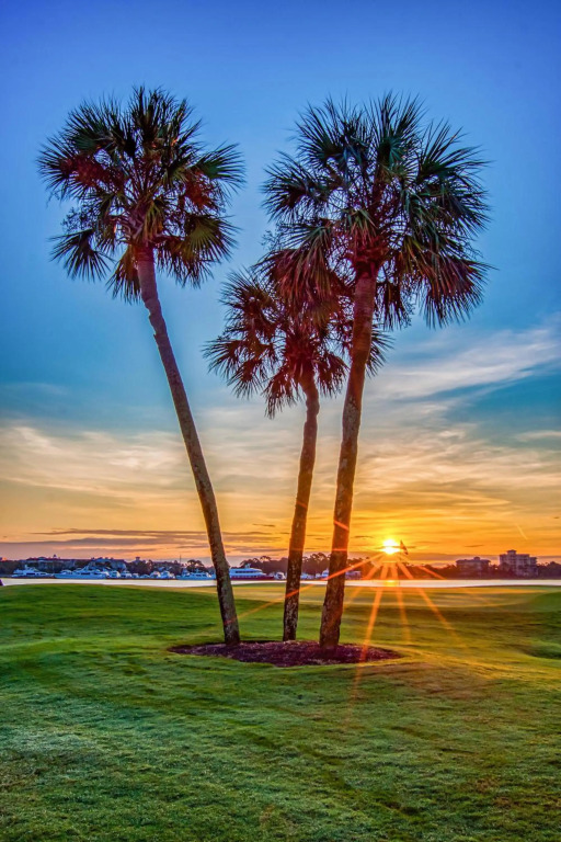 Beachside Two 4312