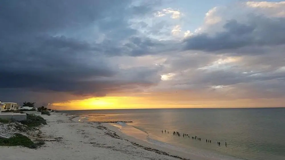 Xanadune de Yucatan