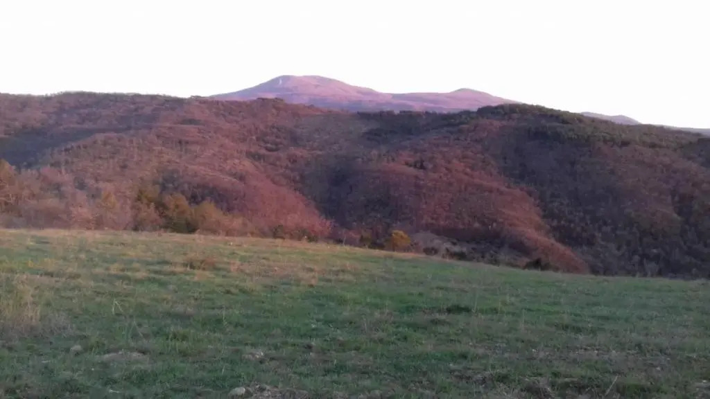 La Casa del susino