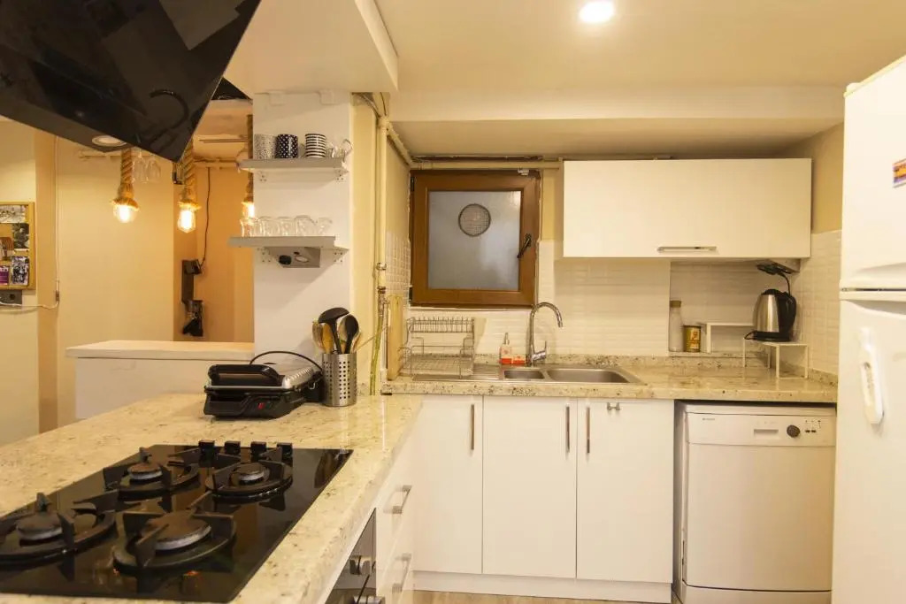 1 Br Designed House with Garden Near Ramada Osmanbey Metro