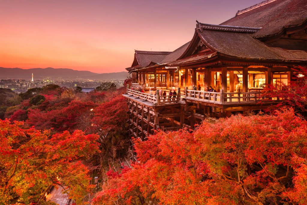 WeBase Kyoto