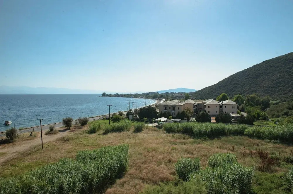 Lilly s Seaview Studio