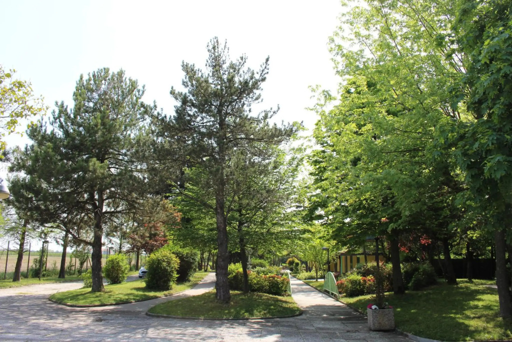 B&B Villa dei Cigni Reali