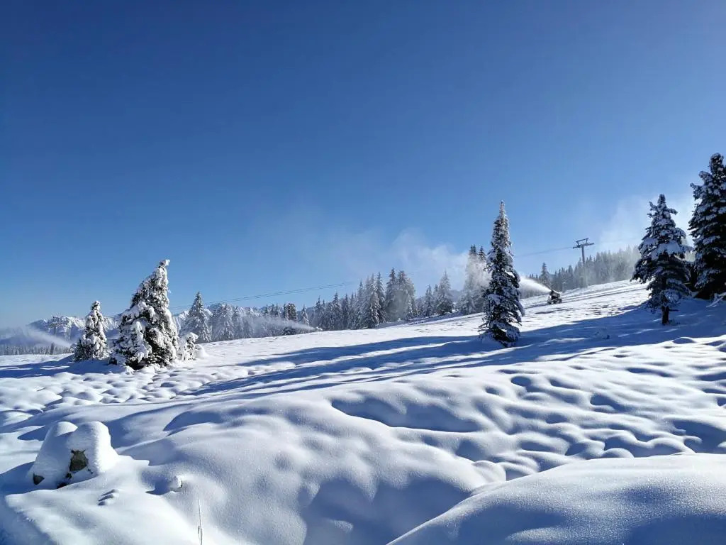 Falkensteinalm Hochkrimml