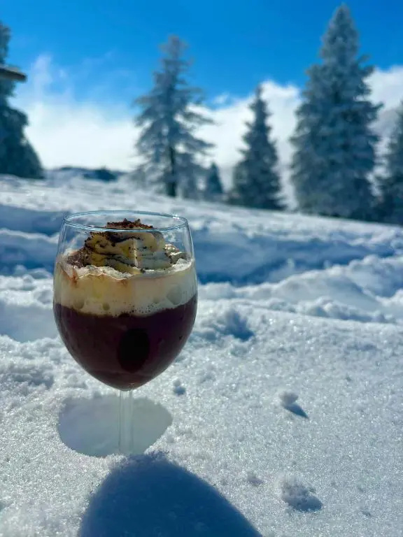 Domzalski Dom Na Mali Planini
