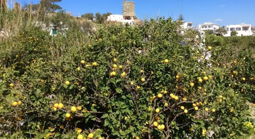 Villa Carano