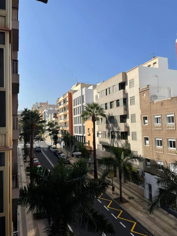Sunny Apartment in the Heart of Santa Cruz