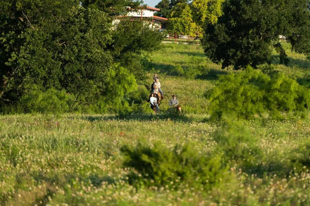 Wildcatter Ranch & Resort