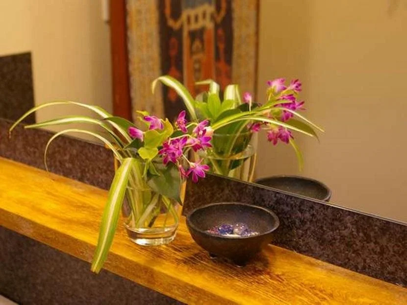 Stone Spa – Tetsugakunomori Koujinsha
