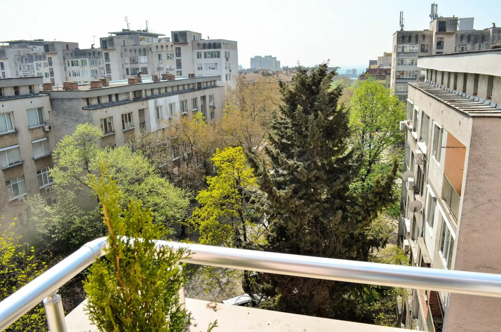 Central Apartment
