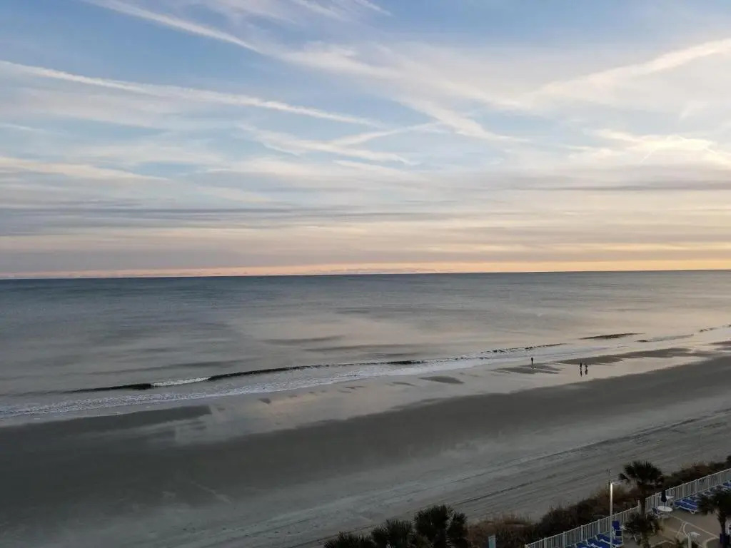 Magnificent Views from this 1BR 1BA 11th floor Ocean Front Suite!