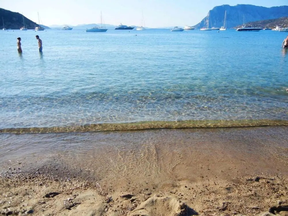 Apartment With one Bedroom in Provincia di Olbia-tempio, With Wonderful sea View, Shared Pool and Balcony - 2 km From the Beach