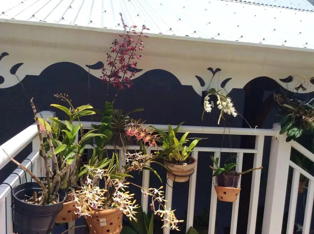 Property With 2 Bedrooms in Deshaies, With Wonderful sea View, Furnished Terrace and Wifi - 3 km From the Beach
