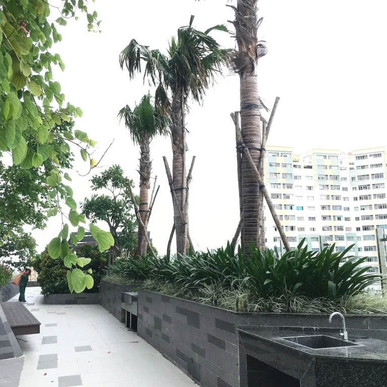 SkyDragon Place