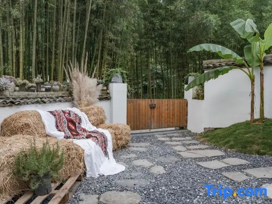 Anji Jinyi · Shijian Streamy Homestay