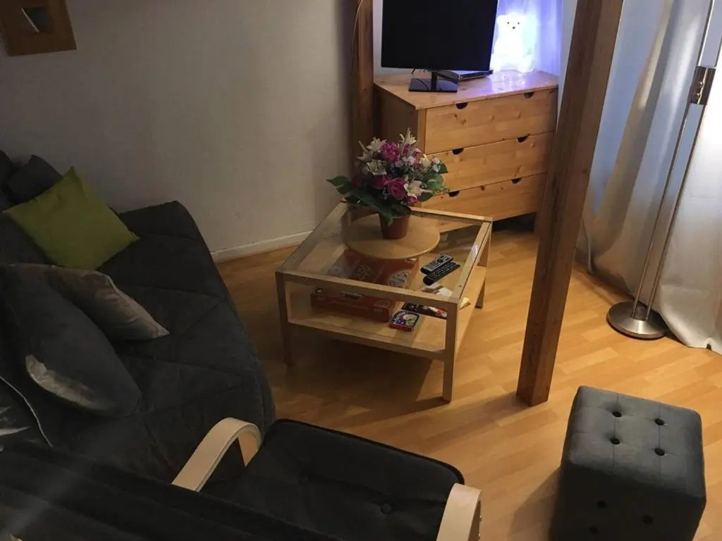 Appartement Arette, 1 pièce, 4 personnes - FR-1-602-78