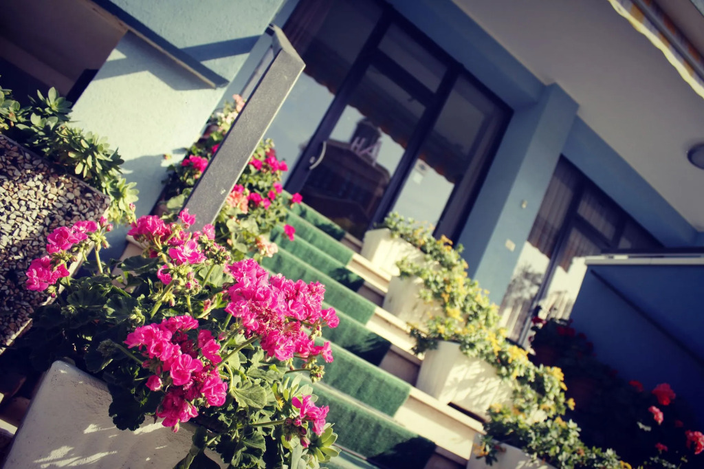 Hotel Amoha
