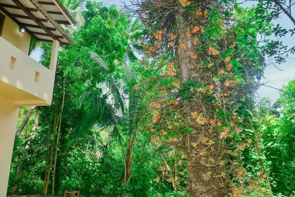 Unawatuna Nature Villa