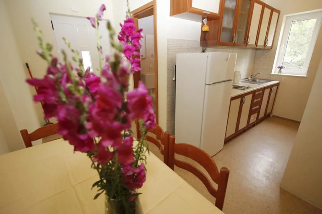 Apartments Vesna Mimice