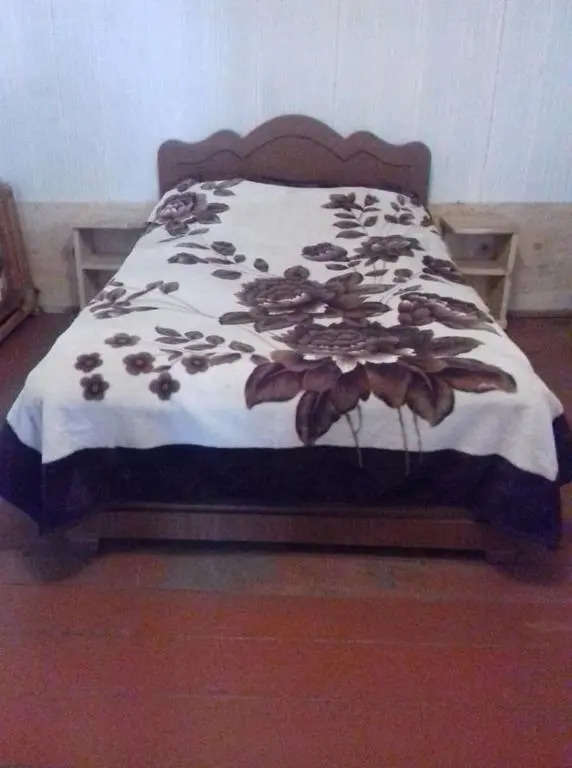 Becho-Bagdanari