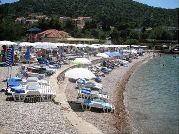 Apartman Adriatica