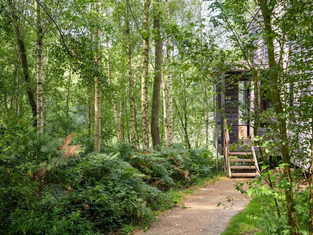 Spacious Forestside Mansion