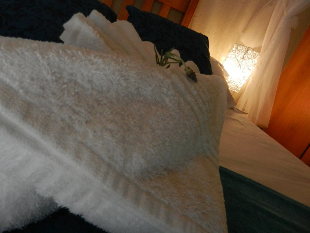 Beetleloop Guest House