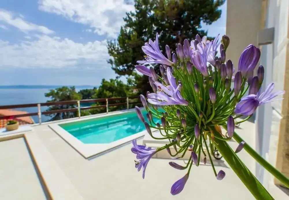 Fran - Pool View - A1 - II kat