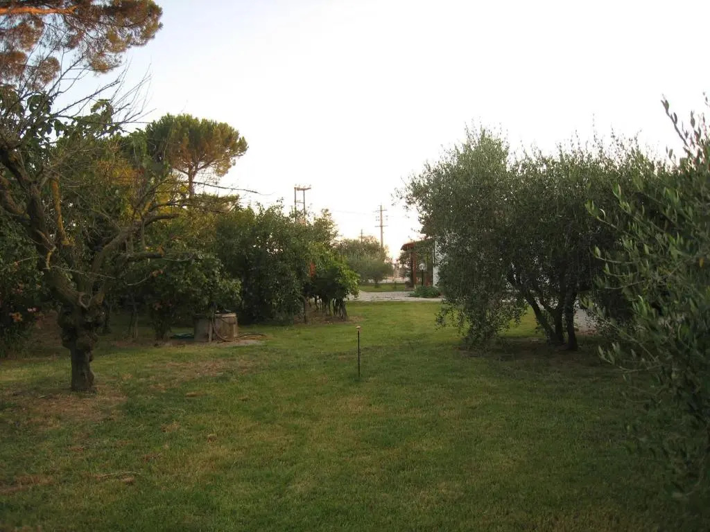 La Carraia