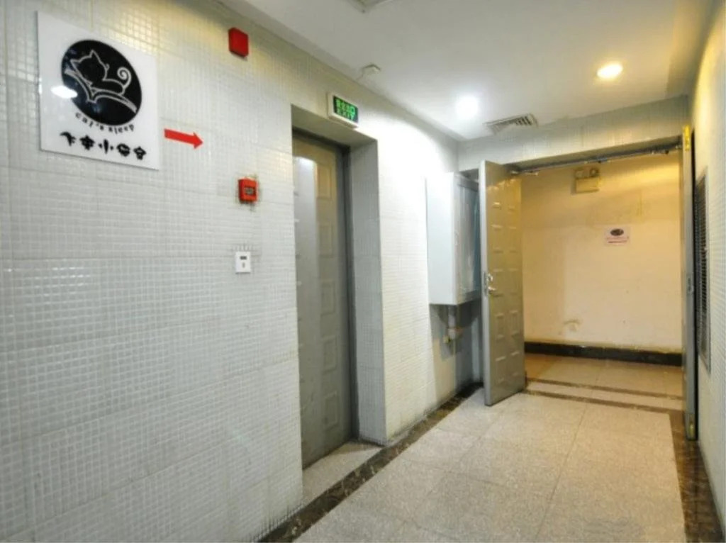 Kunming Cat Nest Female Youth Hostel