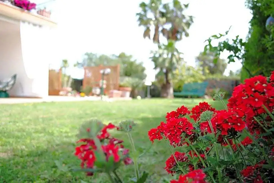 Villa Regina B&B
