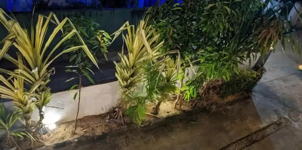 Hiriketiya Hideaway