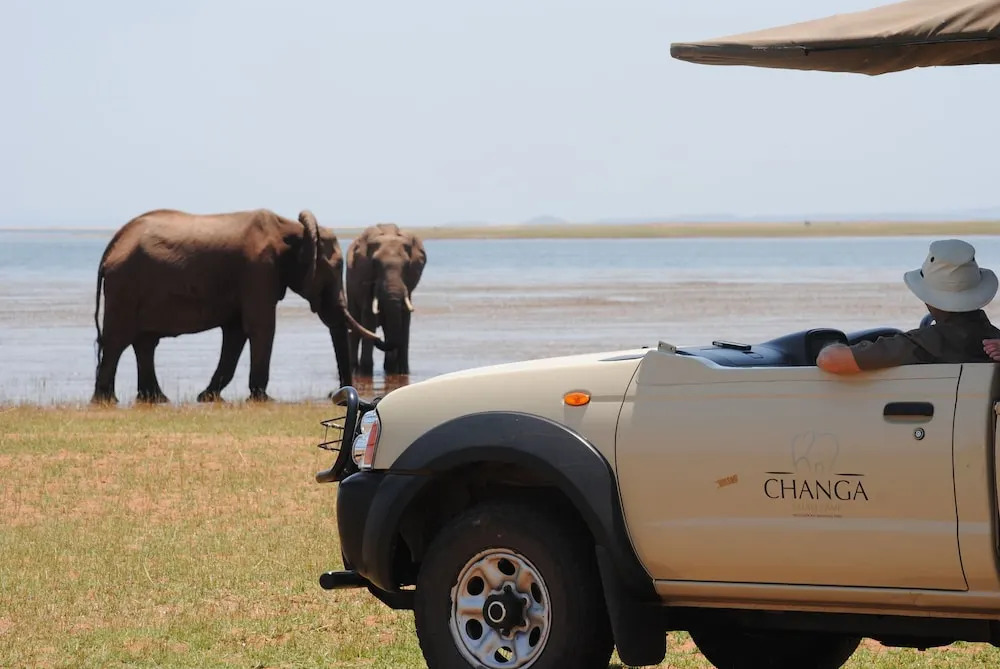 Changa Safari Camp