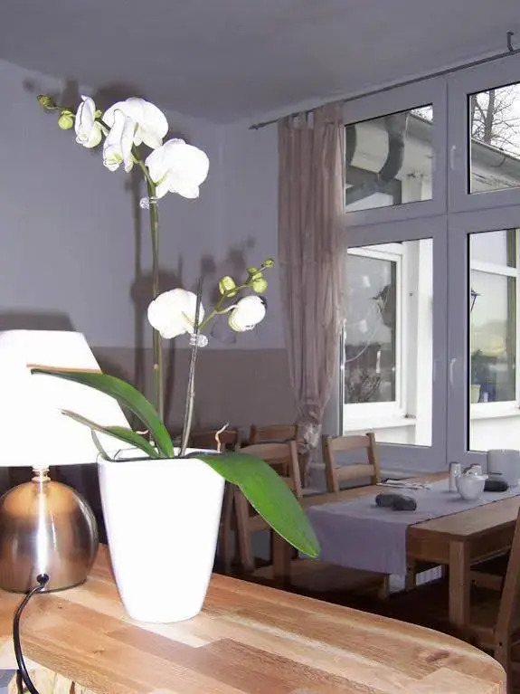 Pension Zum Alten Fährhaus