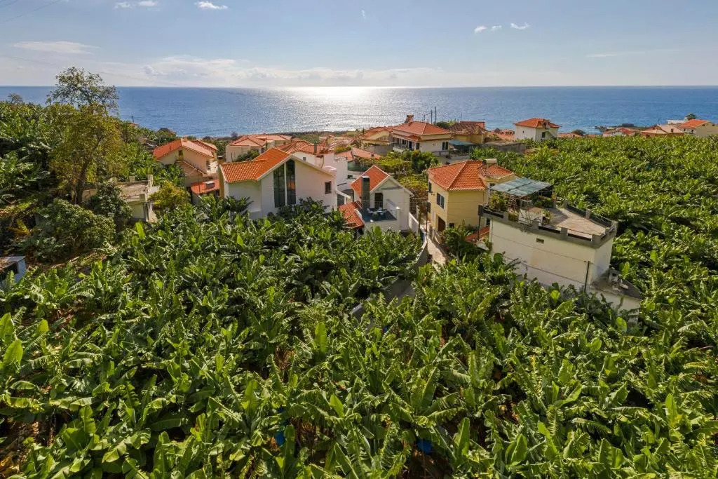 Oscars House by An Island Apart