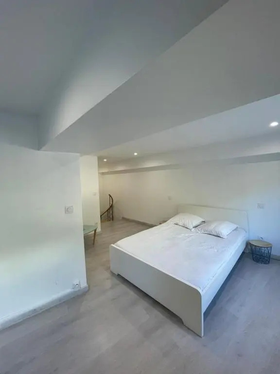 Loft ravissant à 5 mn de la Basilique Notre Dame de Fourvière