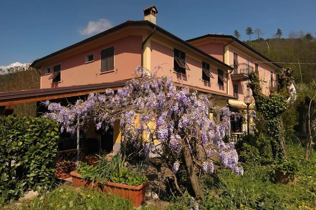 Le Rondini