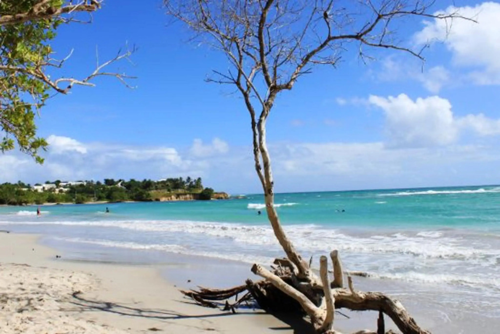 Maison de 2 chambres avec jardin clos et wifi a Le Gosier a 3 km de la plage