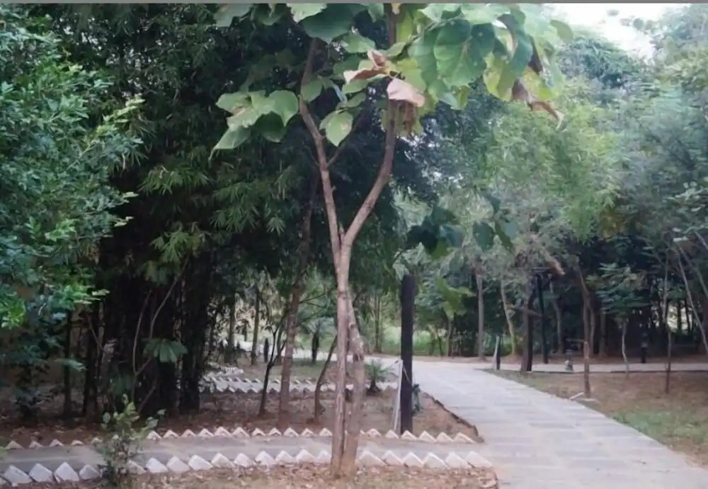 Mogli Resorts Kanha
