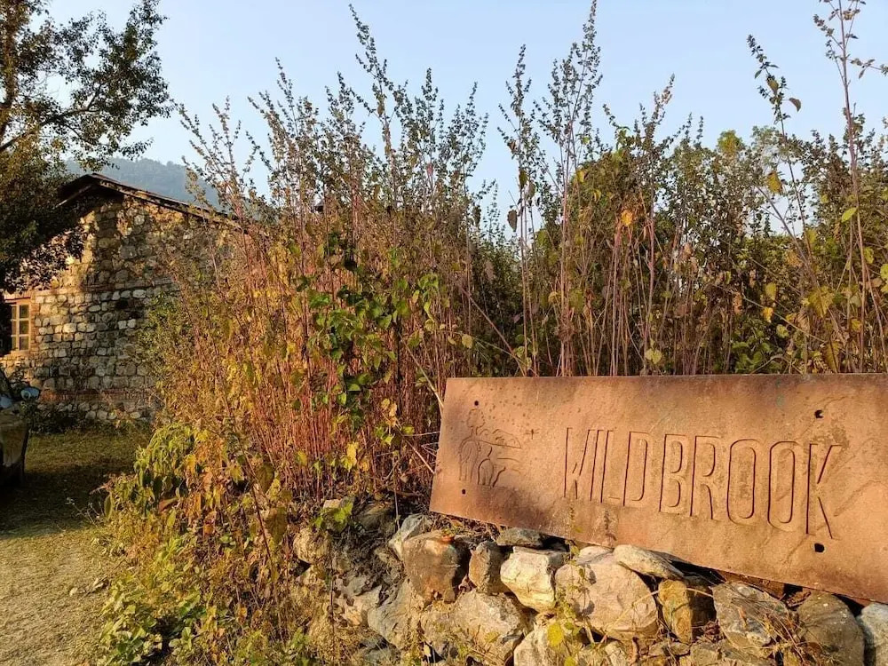 Wild Brook