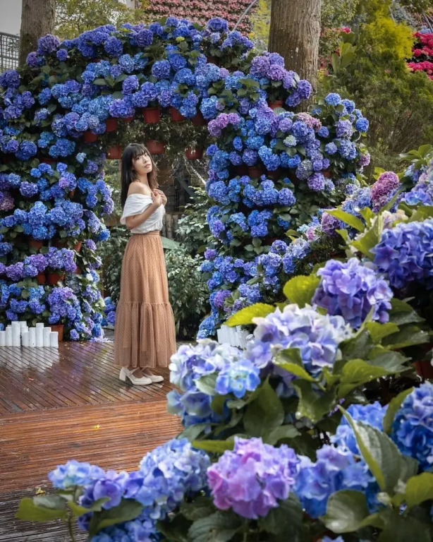 FlowerHome