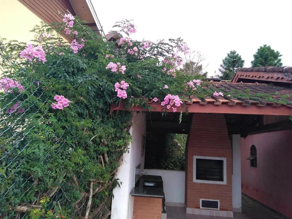 Casa - Flores Encantadas