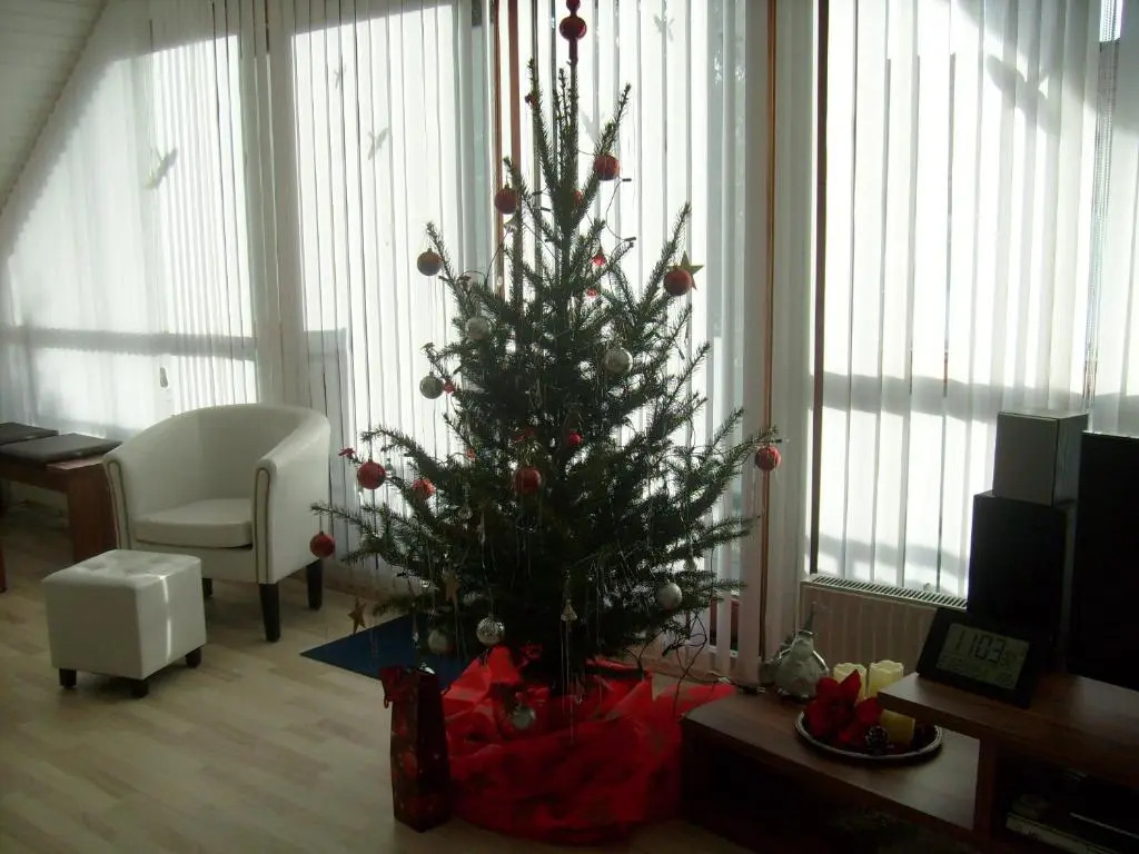 Apartment Adam