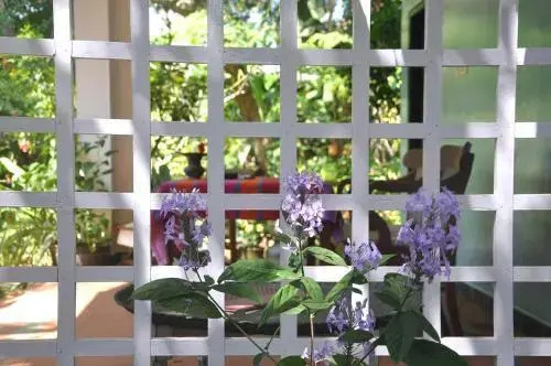 Villa Jacaranda