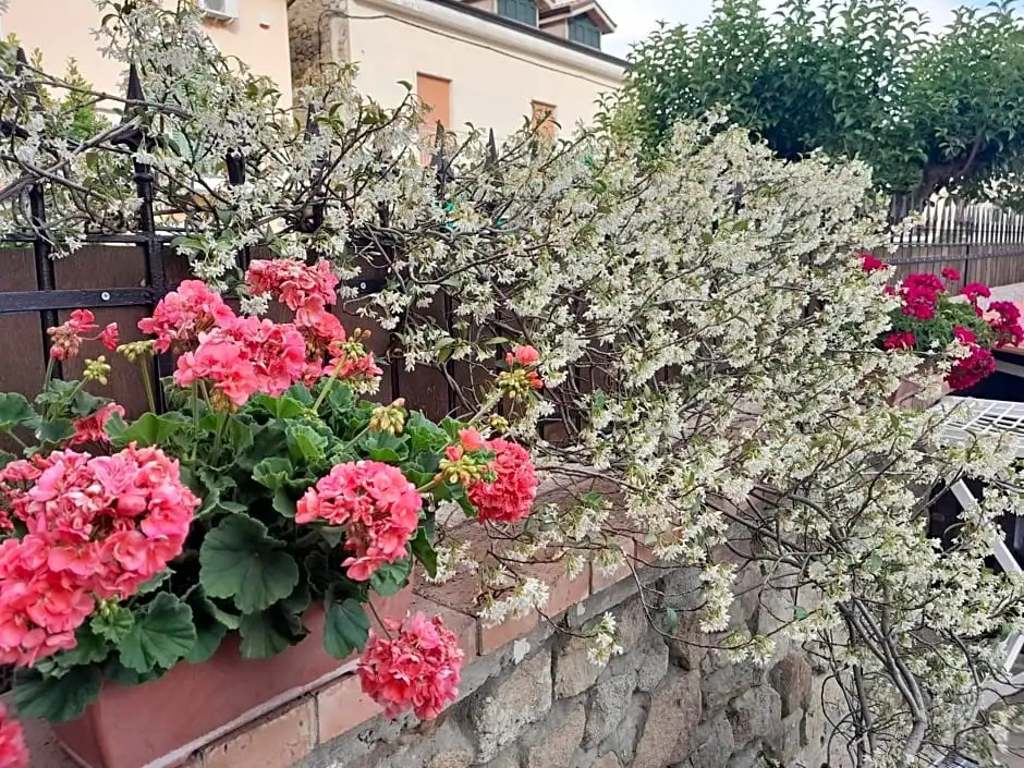 B&B Quattro Lune