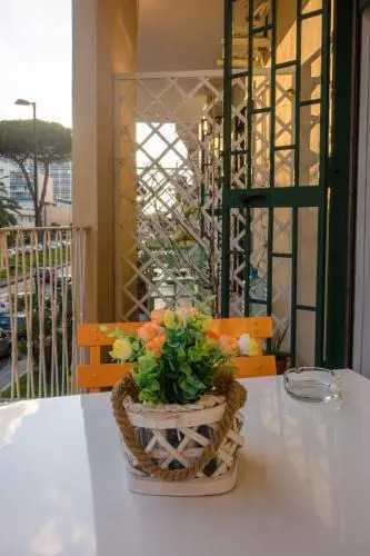 Anthea BB Napoli