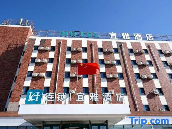 ibis Hotel