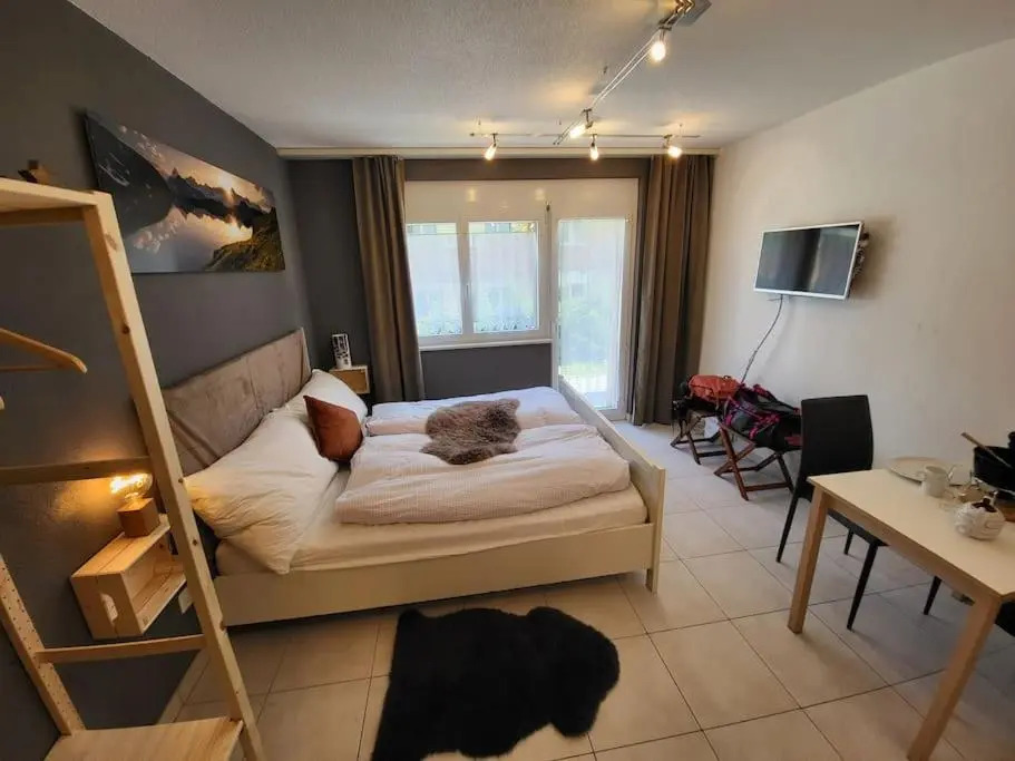 Ski-in cosy studio