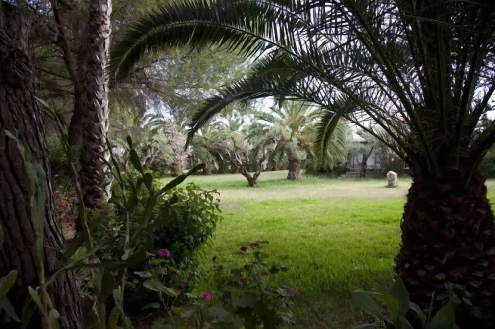 Tenuta Terenzano