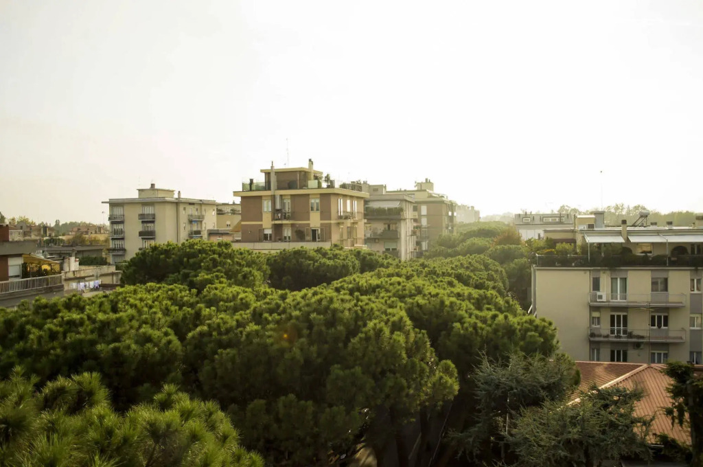 Hotel Calypso- Rimini Marina Centro
